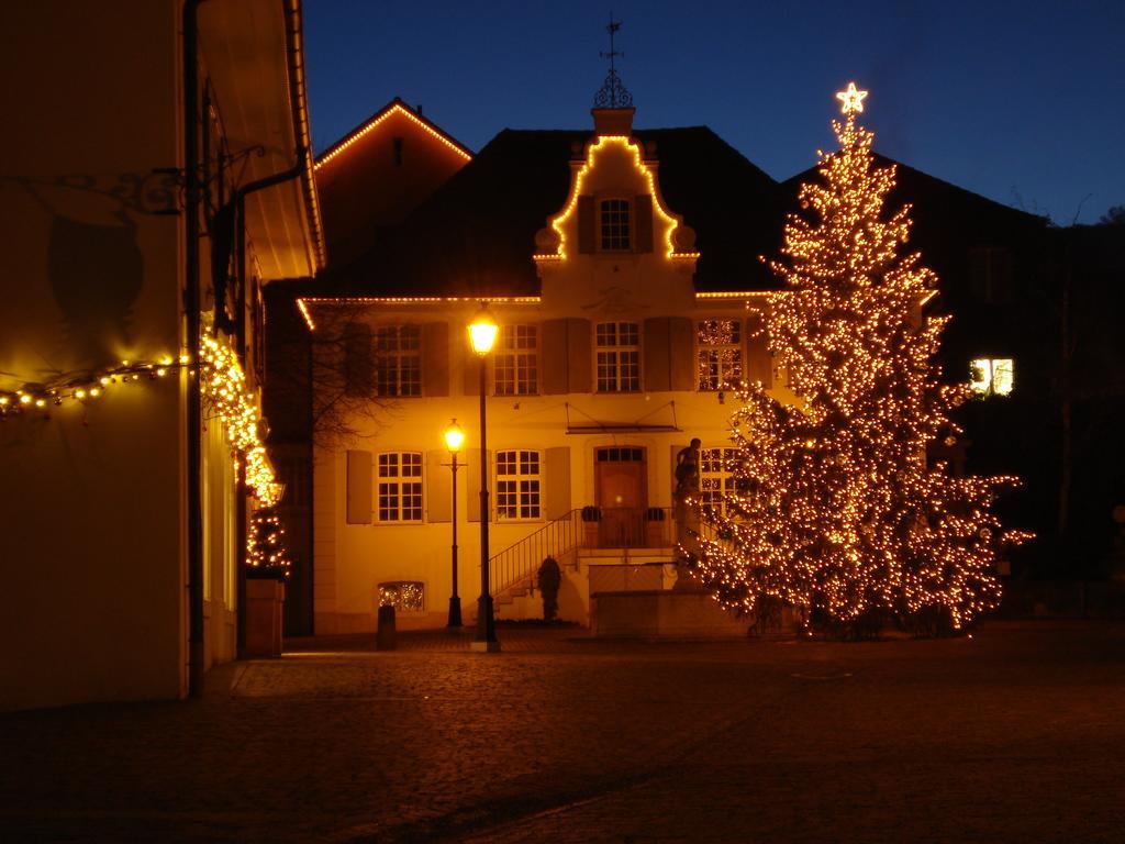 Hotel Gasthof Zum Ochsen Arlesheim Exterior photo